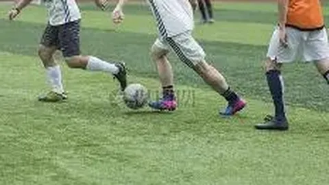 15月后再获赠金拍，樊振东重获殊荣，王楠与郭斌会作何评价？